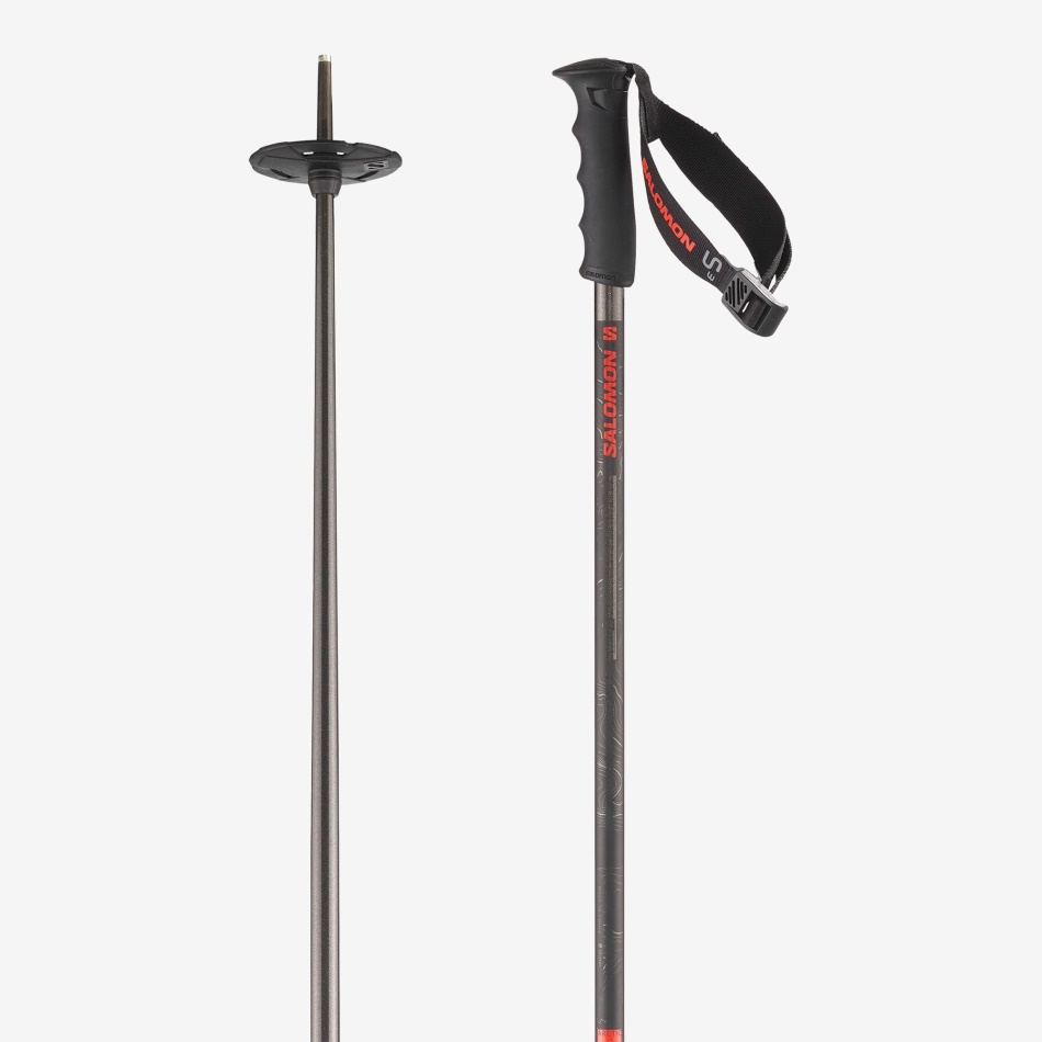 ARCTIC S3 XL Bâtons de ski alpin U Grey